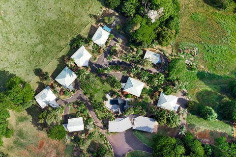 Alstonville Country Cottages - New South Wales Tourism  2