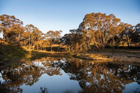 Amethyst - 1 Bed With Hot Tub - Kundalini Lodge - New South Wales Tourism  3