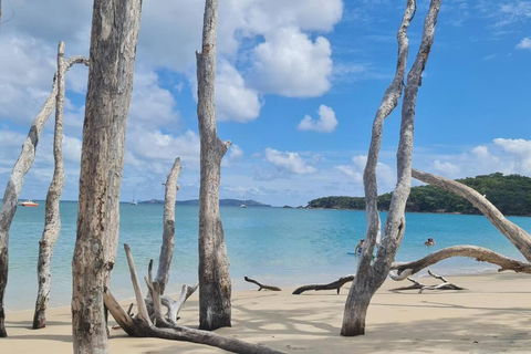 ARay At Cooee Bay - Apt B - Beach House Yeppoon - New South Wales Tourism  1