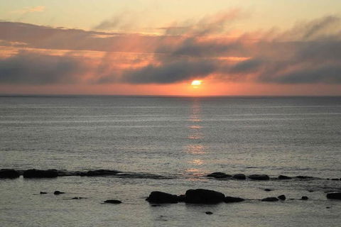 Augusta Beachfront - Watch The Whales Go By - New South Wales Tourism  1