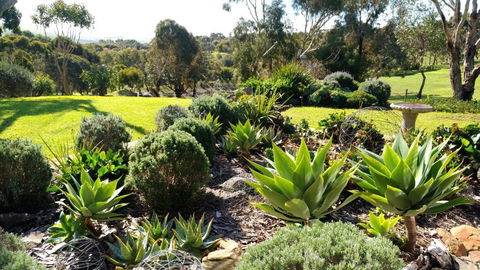 Austiny Bed And Breakfast Victor Harbor - New South Wales Tourism  2