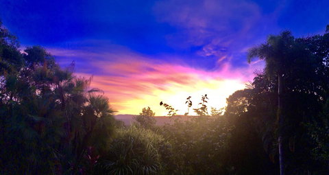 Daintree Manor B&B - New South Wales Tourism  3