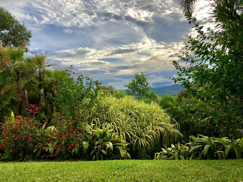 Daintree Manor B&B - New South Wales Tourism  2