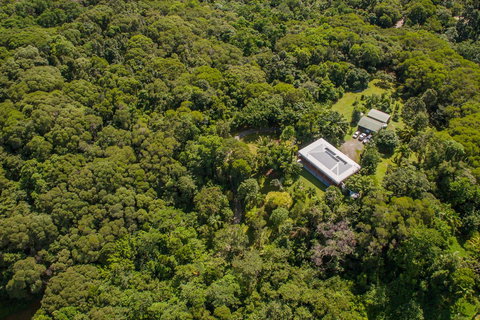 Daintree Manor B&B - New South Wales Tourism  14