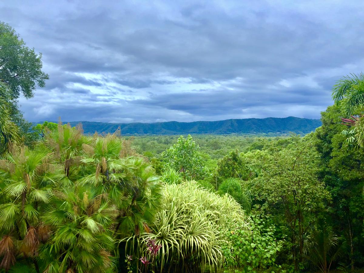 Forest Creek QLD New South Wales Tourism 