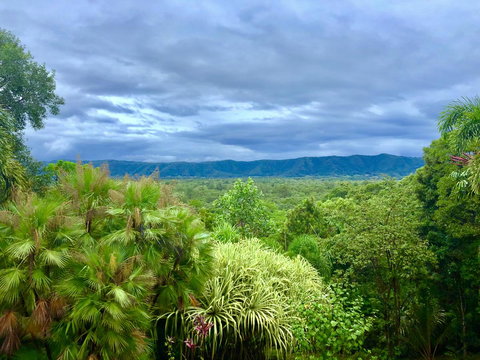 Daintree Manor B&B - New South Wales Tourism  0