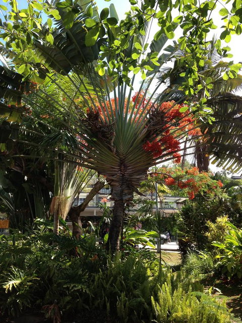 Port Douglas Apartments - Adults Only Oasis - New South Wales Tourism  39