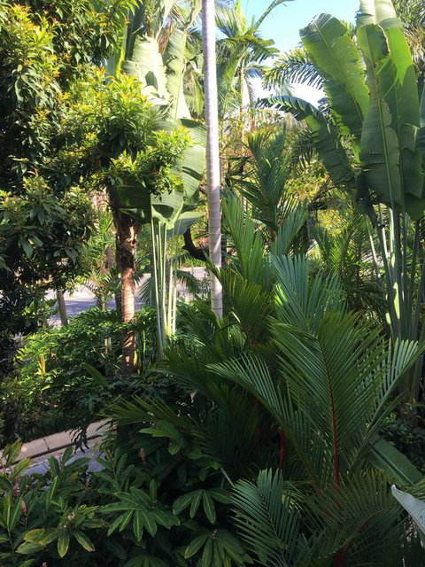 Port Douglas Apartments - Adults Only Oasis - New South Wales Tourism  1
