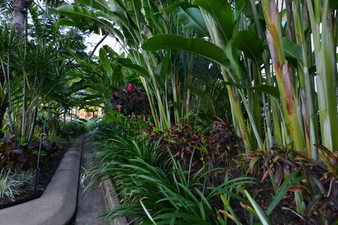 Port Douglas Apartments - Adults Only Oasis - New South Wales Tourism  9
