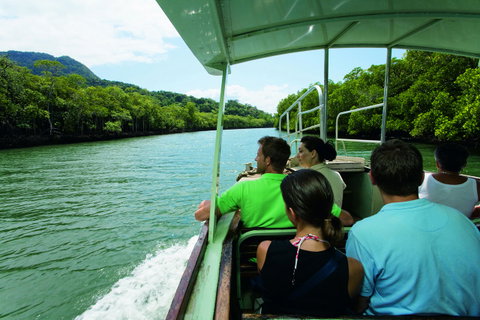 Martinique On Macrossan - New South Wales Tourism  28