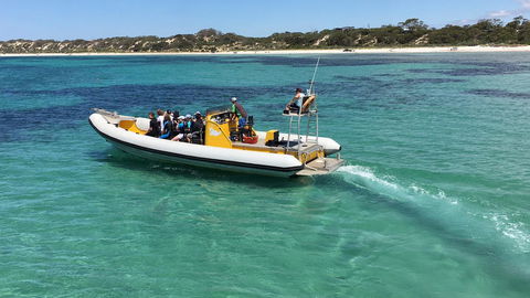 Beeâ€™s Place - 3 Bedroom Home On 10 Acres Of Land With Distant Ocean Views - New South Wales Tourism  29