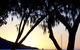 Maggies Beachfront Apartment 12 - thumb 3