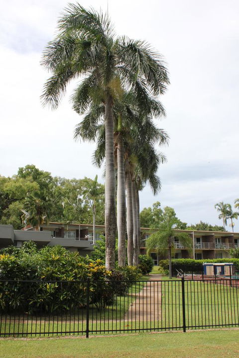 Arcadia Village Motel - New South Wales Tourism  19