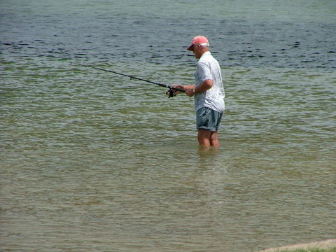 Lowset, Pet Friendly Cottage - Sunset Ave, Bongaree - New South Wales Tourism  9