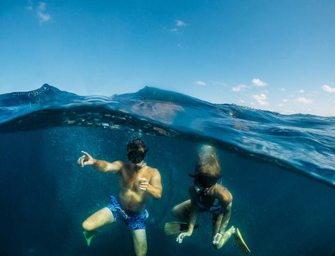 Manta Lodge YHA & Scuba Centre - New South Wales Tourism  12