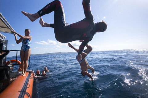 Manta Lodge YHA & Scuba Centre - New South Wales Tourism  11