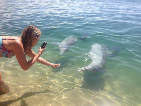 Sea Shanties - New South Wales Tourism  10