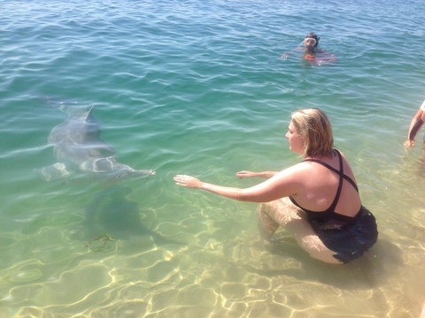 Sea Shanties - New South Wales Tourism  4