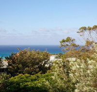 Seagrass - New South Wales Tourism 