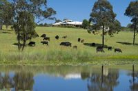 Book Nabiac Accommodation Vacations New South Wales Tourism New South Wales Tourism