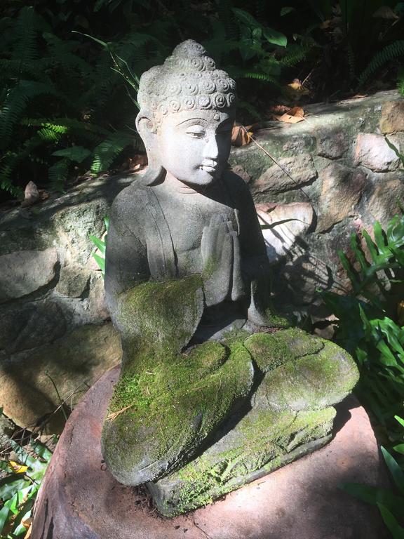 Coolum QLD New South Wales Tourism