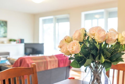 111, Relaxing Family Getaway In Burwood - New South Wales Tourism  1