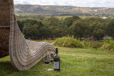 131 Your Vineyard Home In The Heart Of The Vale - New South Wales Tourism  0