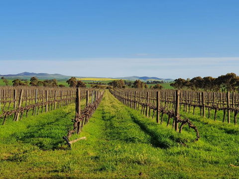 Belalie Wines - New South Wales Tourism  3