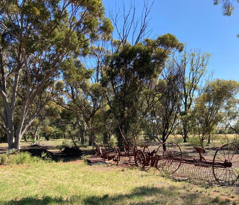 Belalie Wines - New South Wales Tourism  4