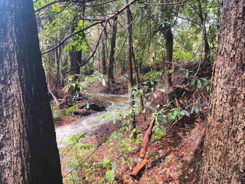Crystal Cottage Retreat- Escape To The Hinterland! - New South Wales Tourism  3