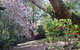 305 Montville - The Artist's Cottage - thumb 3