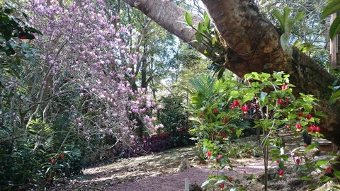 305 Montville - The Artist's Cottage - New South Wales Tourism  3