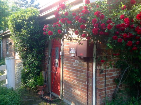 A Country Barn Retreat - New South Wales Tourism  2