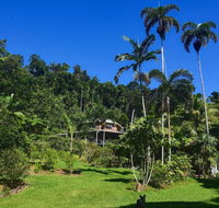A Daintree Garden