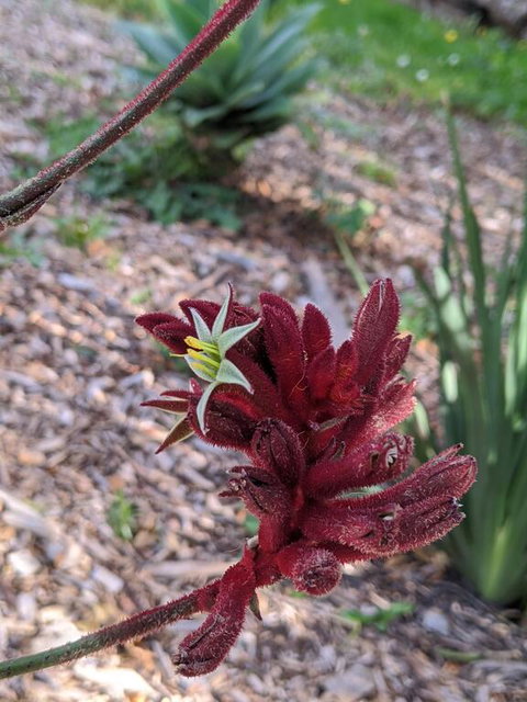 A Home Away From Home - New South Wales Tourism  1