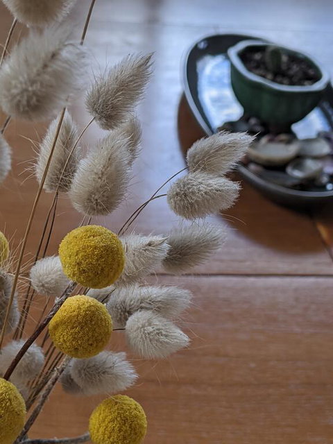 A Home Away From Home - New South Wales Tourism  2