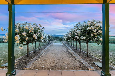 Abbotsford Country House Barossa Valley - New South Wales Tourism  1