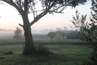 Book Heyfield Accommodation Vacations New South Wales Tourism New South Wales Tourism 