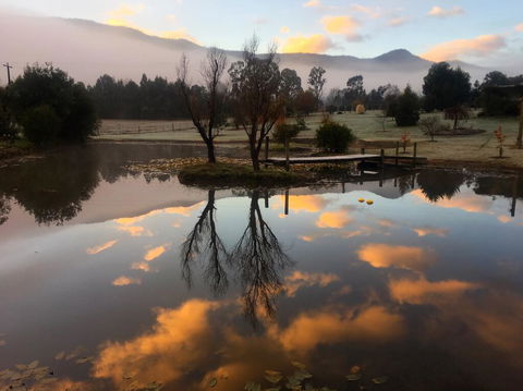 Acheron Acres Riverside - New South Wales Tourism  2
