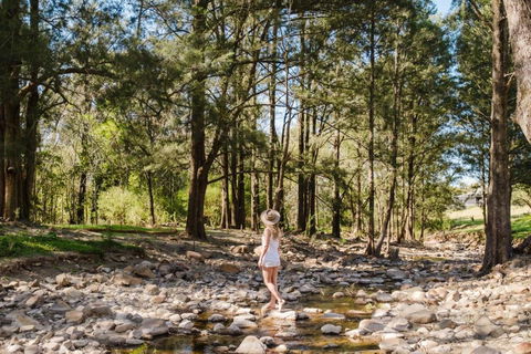 EKhaya - The Barn - New South Wales Tourism  2