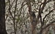 Emu Creek Retreat - thumb 3