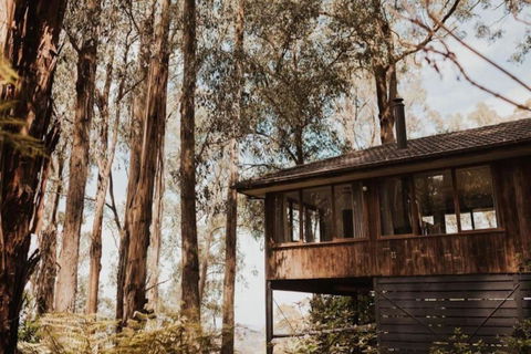 Forest Retreat - New South Wales Tourism  0