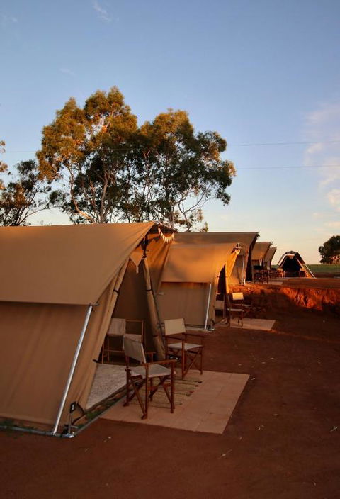 Glamping At Buckland Estate - New South Wales Tourism  1