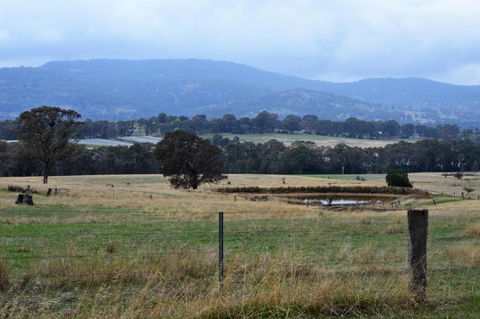 Friends In Harcourt North - New South Wales Tourism  2