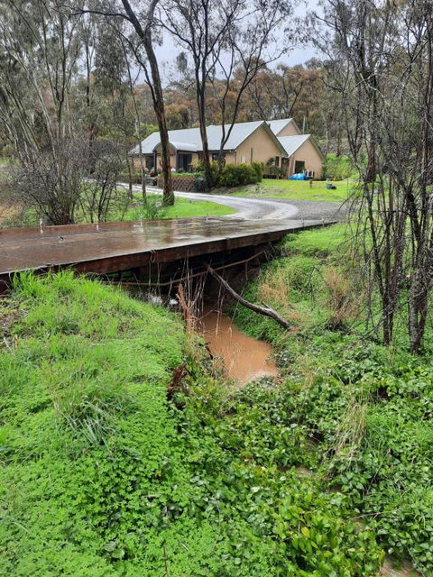 Frogmouth Hollow - New South Wales Tourism  4