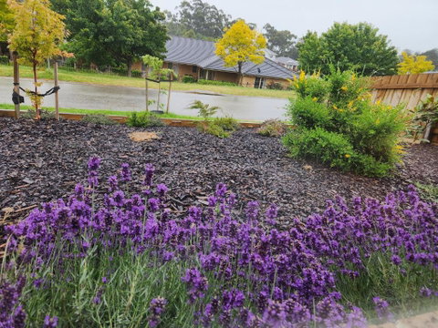 Getaway On Amaroo Way - New South Wales Tourism  1