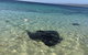 Hamelin Bay Seaclusion - thumb 1