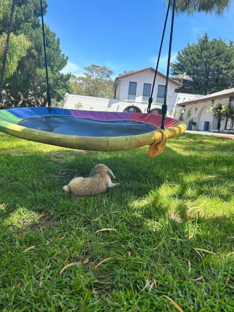 Holiday House - New South Wales Tourism  2