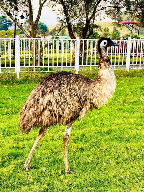 Holiday House - New South Wales Tourism  3