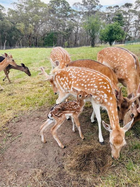 Holiday House - New South Wales Tourism  0